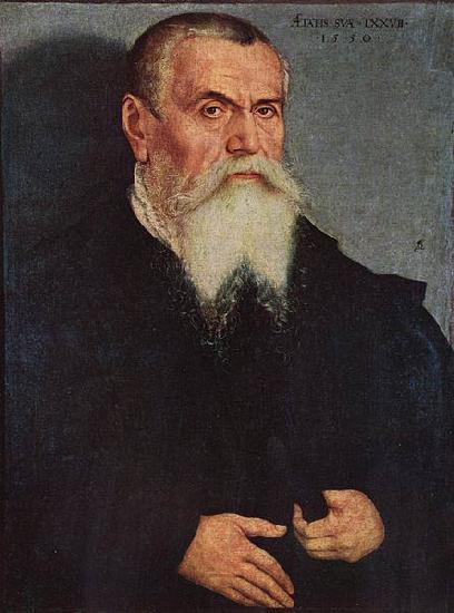 Lucas Cranach Selbstportrat im 77. Lebensjahr oil painting image